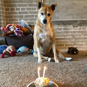 Meet your Posher, Jason